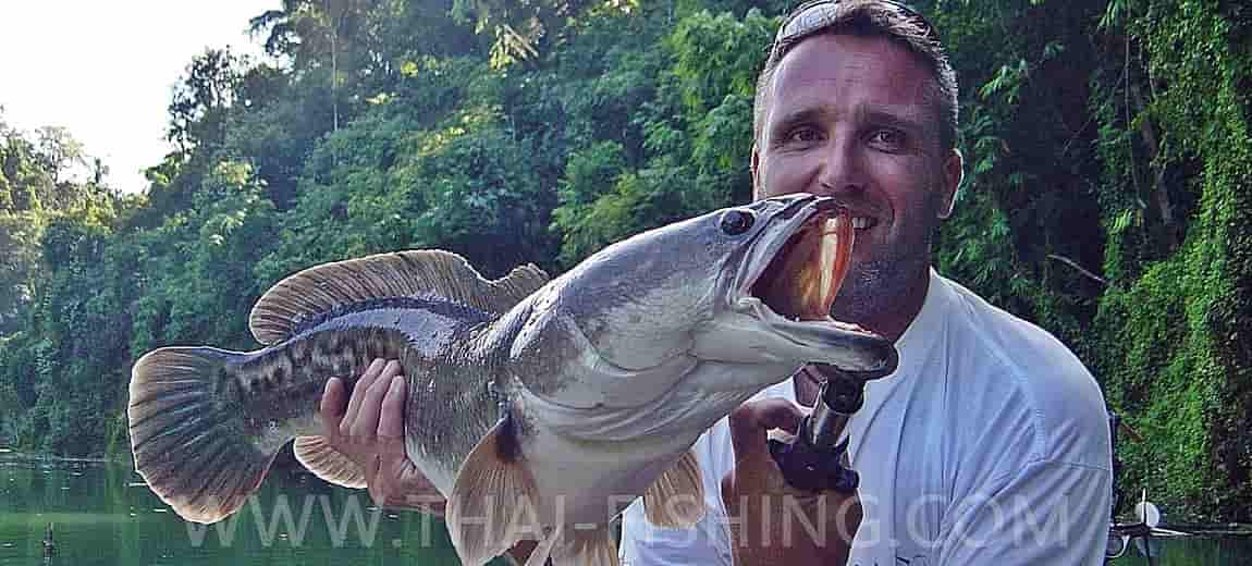 Giant Snakehead Fly og Spinn Fiskeri Thailand Med Thai Fishing