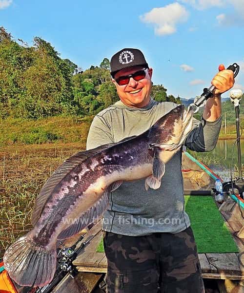 Overflade Spin fiskeri efter Giant Snakehead i Thailand