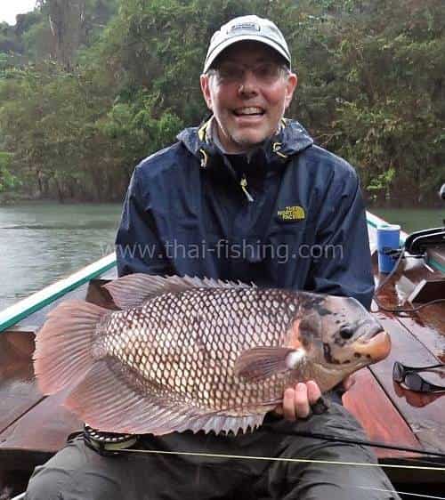 Big Giant Gourami on Fly Thailand - Fishing Report 9