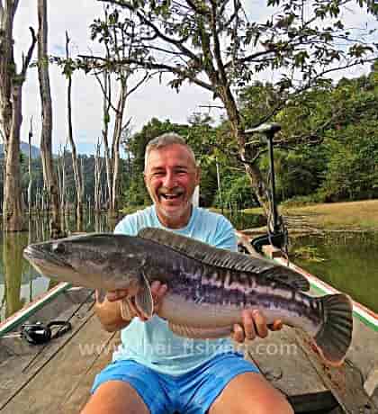 Giant Snakehead Fishing Thailand