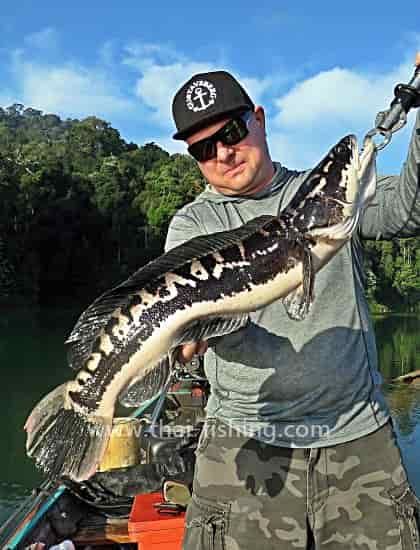 Giant Snakehead Fishing Thailand - Fly and Lure Fishing