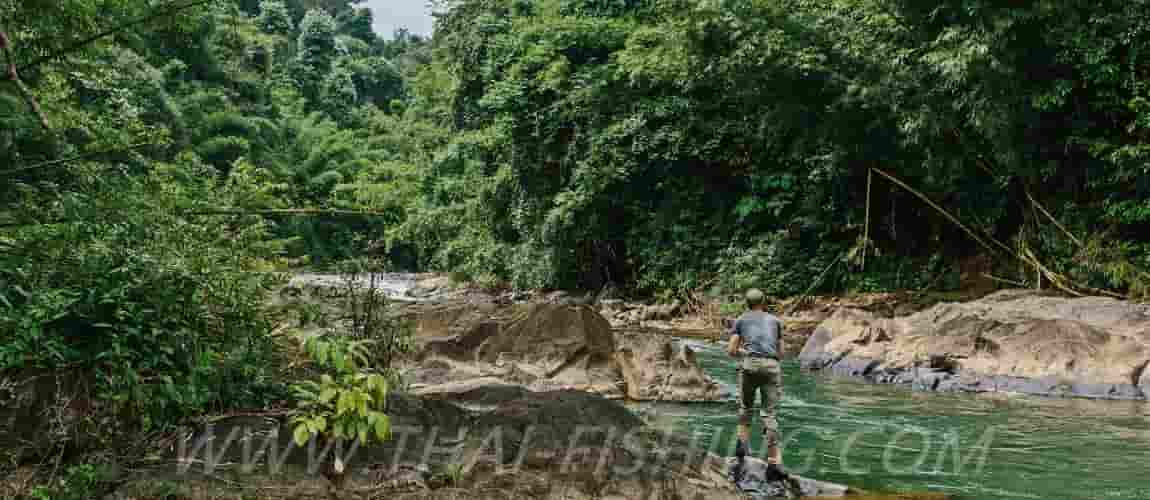 Thai Fishing Photo Gallery - Jungle Fly and Lure Fishing
