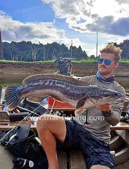 Snakehead Fishing Thailand with Thai Fishing