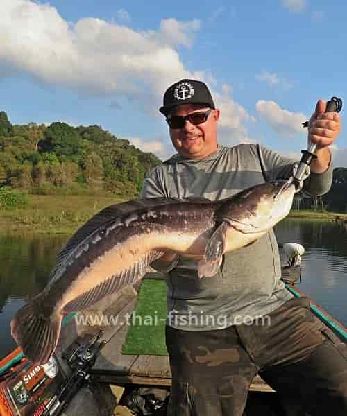 Top-water lure fishing for Giant Snakehead in Thailand