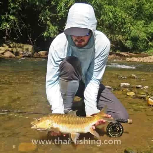 Mahseer fly fishing Thailand