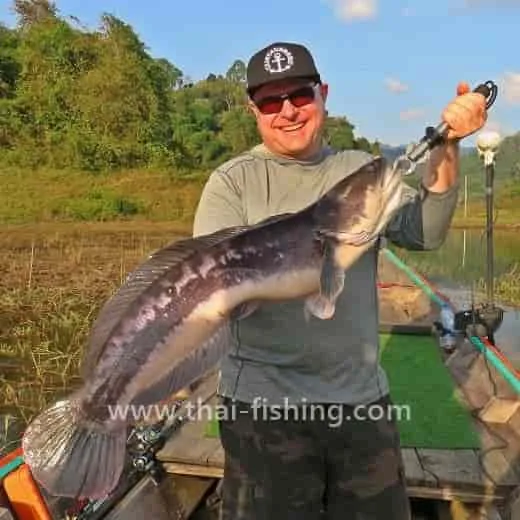 Record breaking 9 kg. Giant Snakehead on lure Cheow Lan Lake Thailand