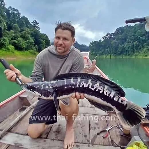 Snakehead Fly fishing